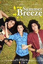 Summer Breeze (2008)