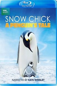 Snow Chick – A Penguin’s Tale (2015)