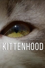 Kittenhood (2019)