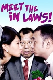 Meet the In Laws (2012)