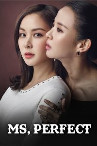 Perfect Wife (2017)