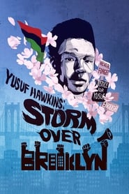Storm Over Brooklyn (2020)
